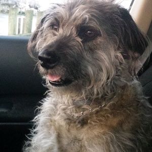 Meet your Posher, Marcia